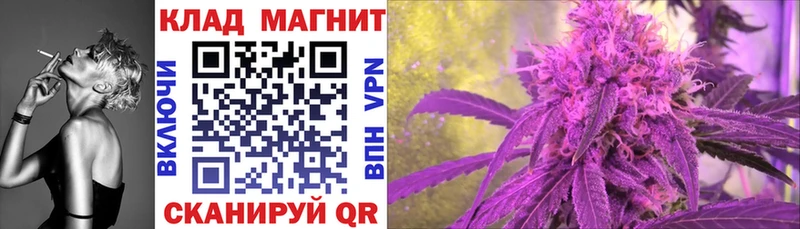 Что такое Вязники Псилоцибиновые грибы  Мефедрон  МАРИХУАНА 