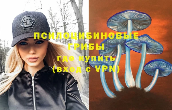 Альфа ПВП Балахна