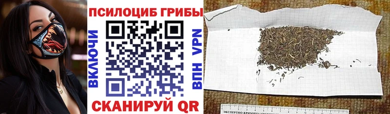 Псилоцибиновые грибы прущие грибы  Вязники 